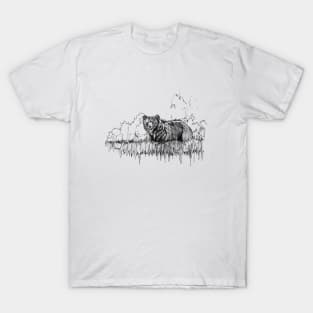 Grizzly Bear Ink Drawing T-Shirt